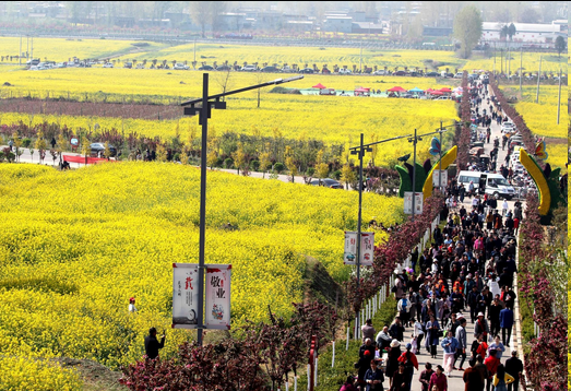 圖片.png 圖片.png